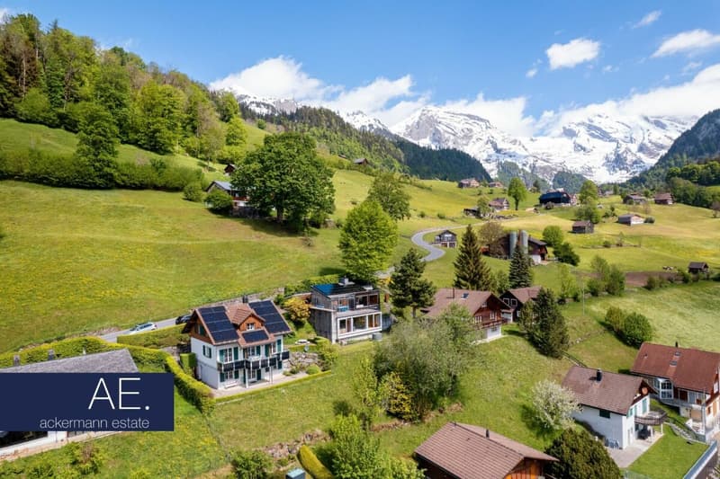 Alpine Eleganz - Zwischen Tradition und Moderne (2)
