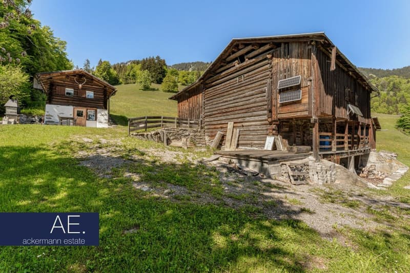 Maiensäss au milieu de vastes pâturages de montagne (11)