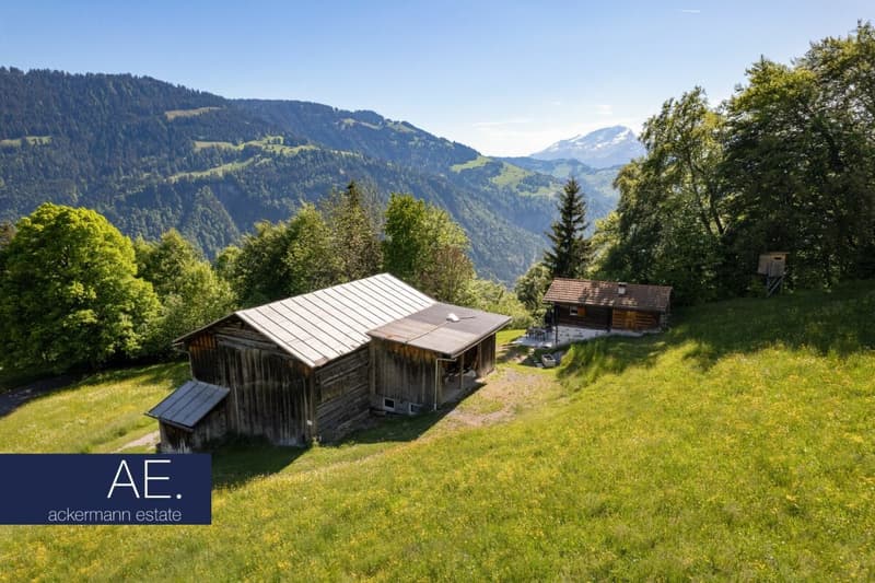 Maiensäss au milieu de vastes pâturages de montagne (4)
