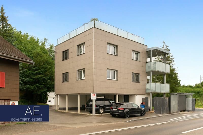 Modernes Mehrfamilienhaus mit nachhaltigem Gebäudestandard (2)