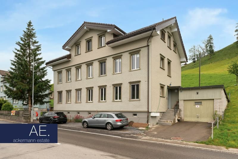 Saniertes Mehrfamilienhaus - solide Substanz, langfristige Perspektive (1)