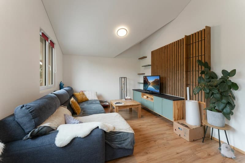 Sanierte Dachwohnung - moderner Ausbaustandard und Wohnkomfort (1)