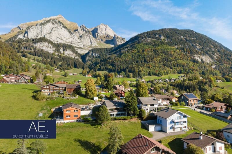 Alpiner Charme - mit Cheminée und Churfirstenblick (3)