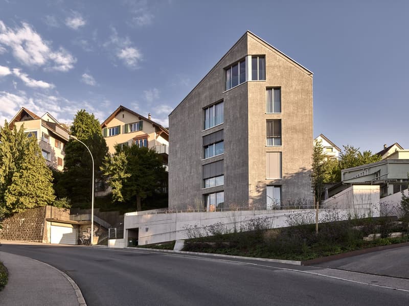 Appartement meublé top-moderne dans le quartier de Sternmatt (19)