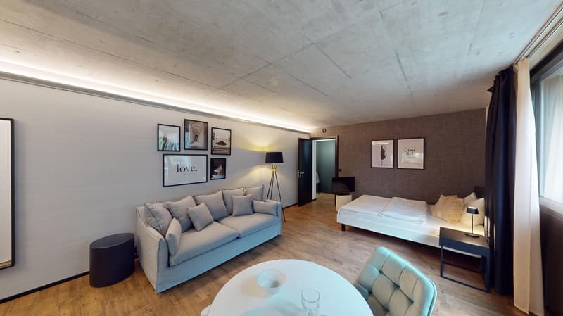 Appartement meublé top-moderne dans le quartier de Sternmatt (3)