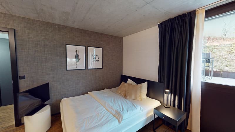 Appartement meublé top-moderne dans le quartier de Sternmatt (5)