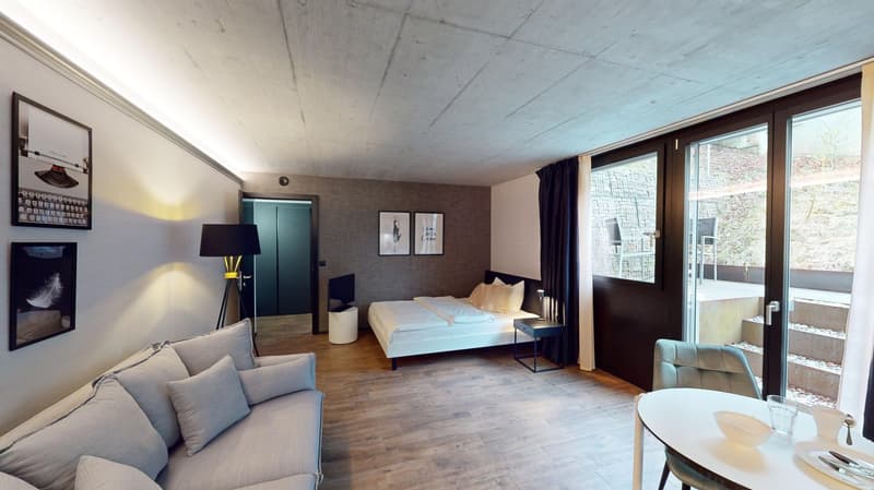 Appartement meublé top-moderne dans le quartier de Sternmatt (4)
