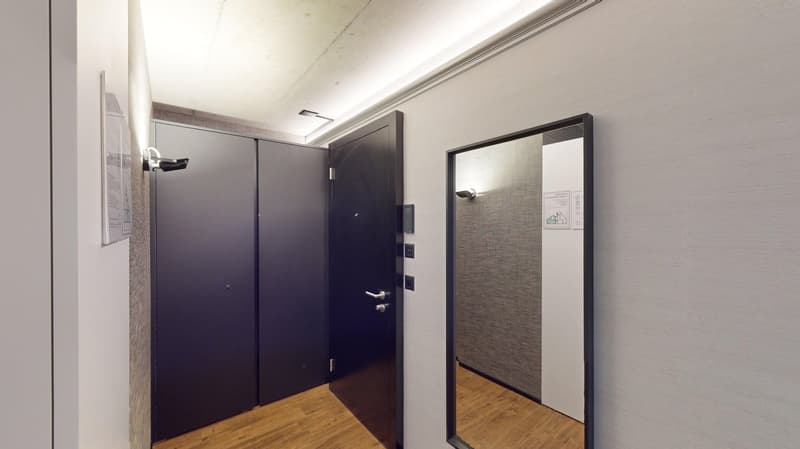 Appartement meublé top-moderne dans le quartier de Sternmatt (8)
