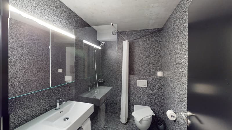 Appartement meublé top-moderne dans le quartier de Sternmatt (10)