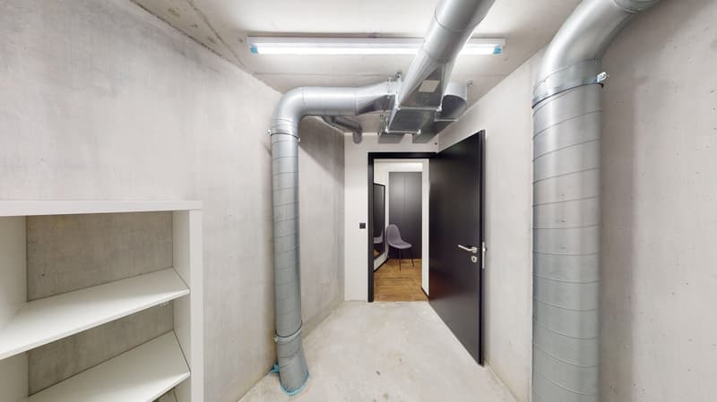 Appartement meublé top-moderne dans le quartier de Sternmatt (14)