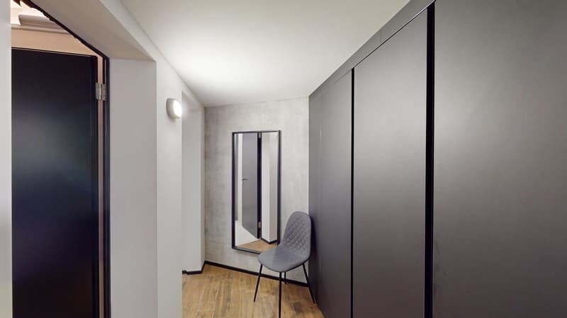 Appartement meublé top-moderne dans le quartier de Sternmatt (9)