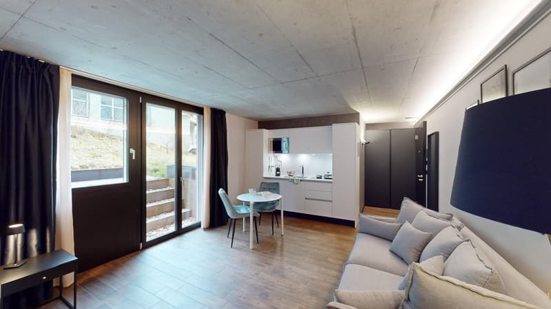 Appartement meublé top-moderne dans le quartier de Sternmatt (6)