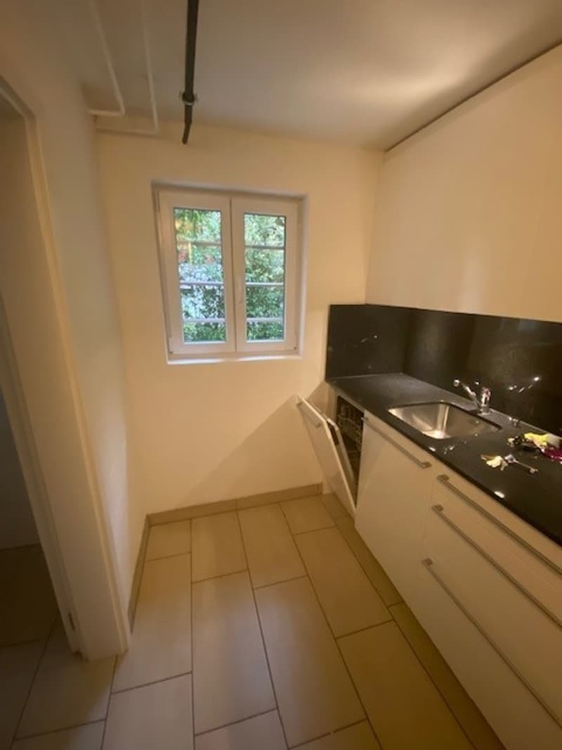 Studio in affitto su Schachenstrasse a Kriens (2)