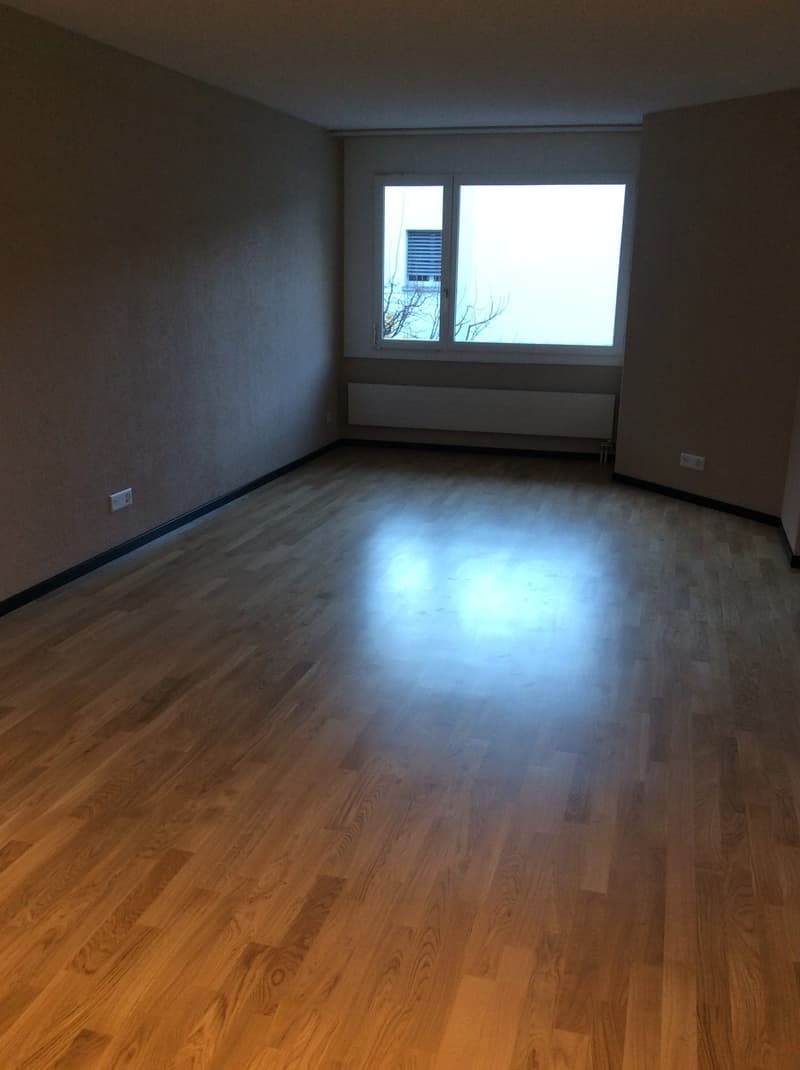 Charmante 2-Zimmer-Wohnung in Meiringen – ab August 2026 verfügbar (3)