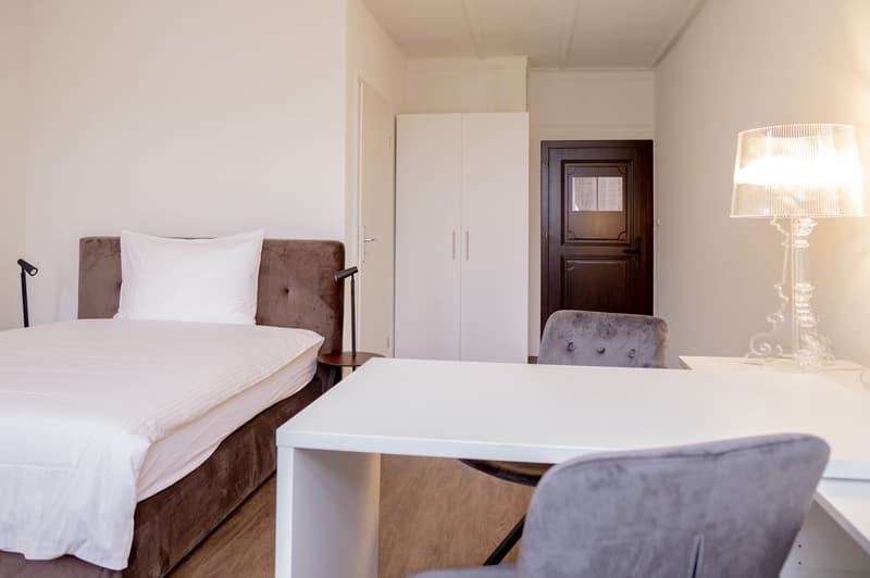 Beautiful furnished 1-room apartment in the old town (2)
