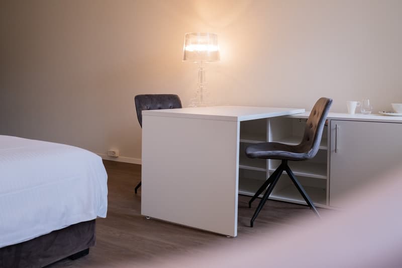 Beautiful furnished 1-room apartment in the old town (8)