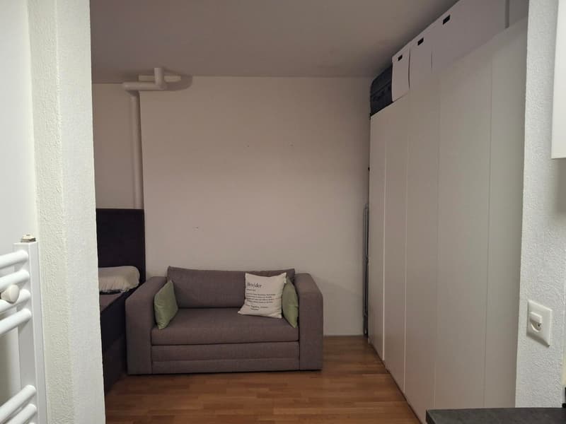 Charming 2-room apartment in Lucerne (3)