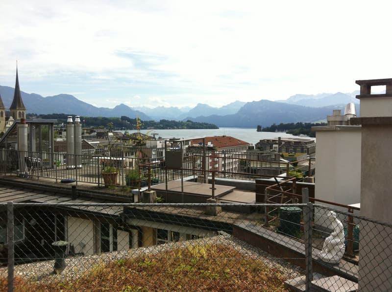 Charming 2-room apartment in Lucerne (8)