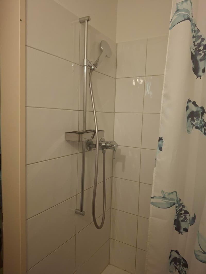 Charming 2-room apartment in Lucerne (6)