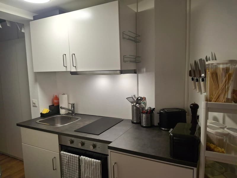 Charming 2-room apartment in Lucerne (2)