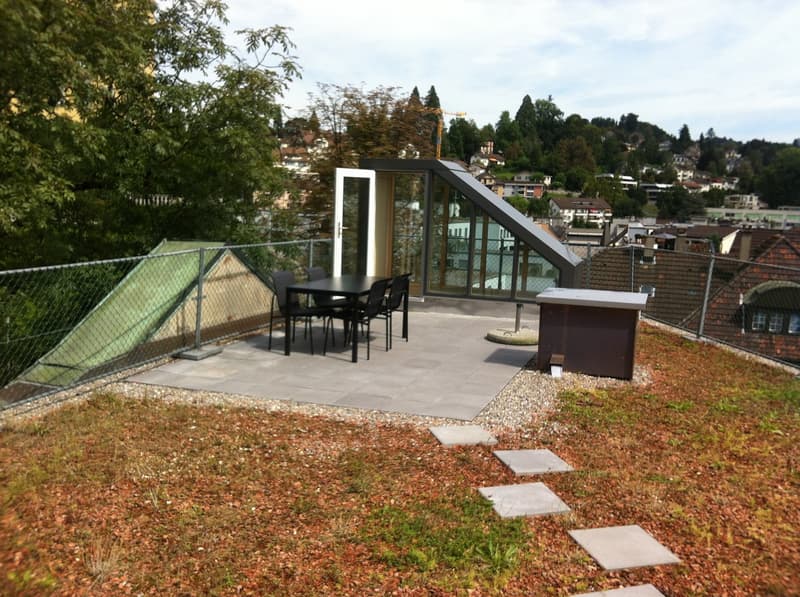 Charming 2-room apartment in Lucerne (9)