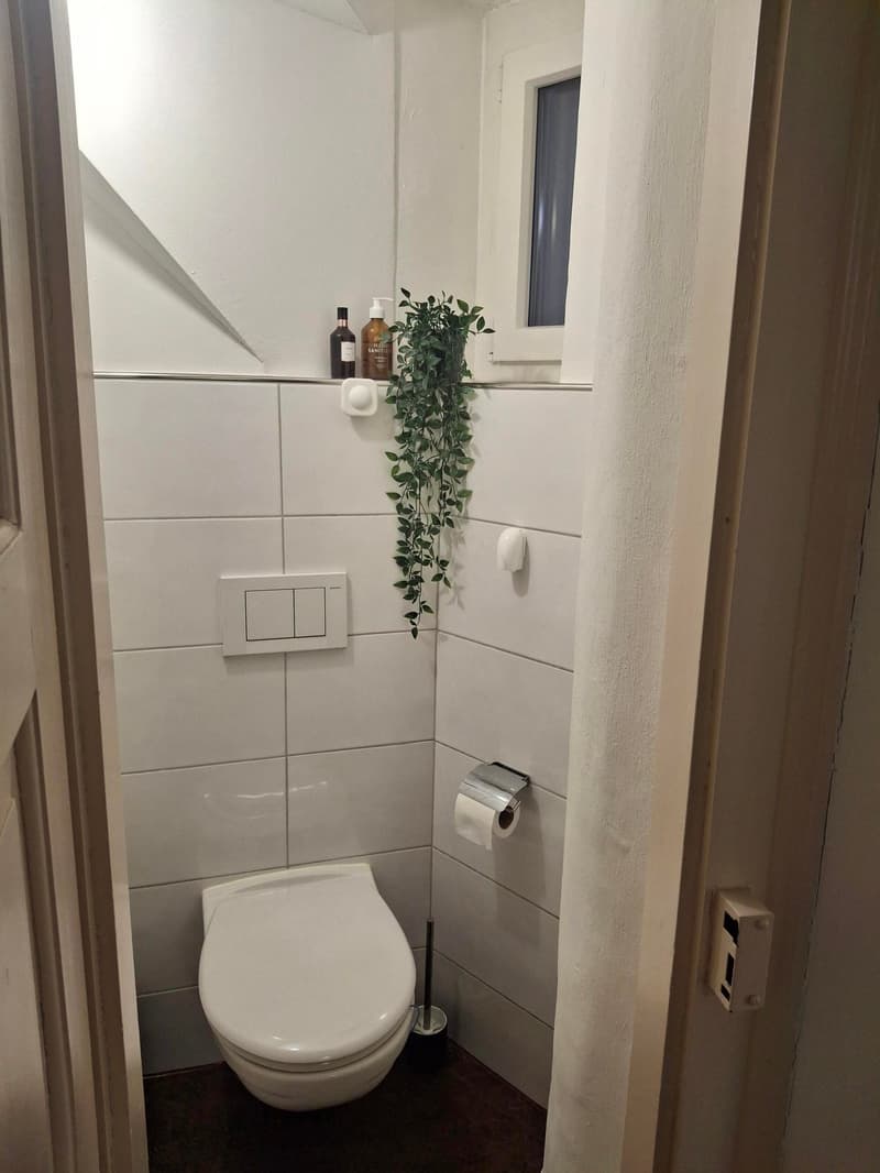 Charming 2-room apartment in Lucerne (7)
