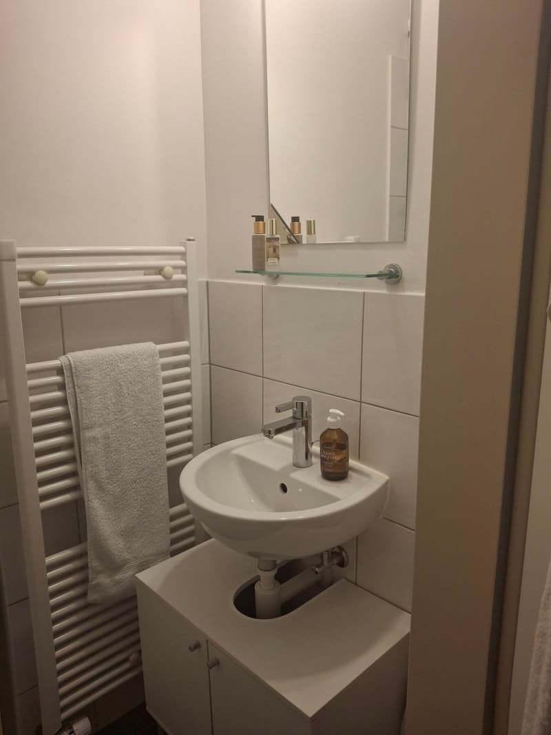 Charming 2-room apartment in Lucerne (5)