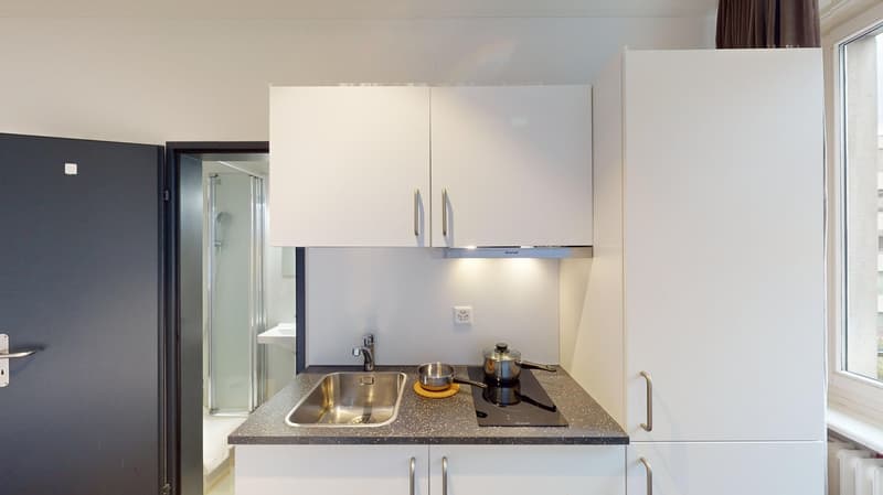 Modernes, möbliertes Appartement im Zentrum (6)