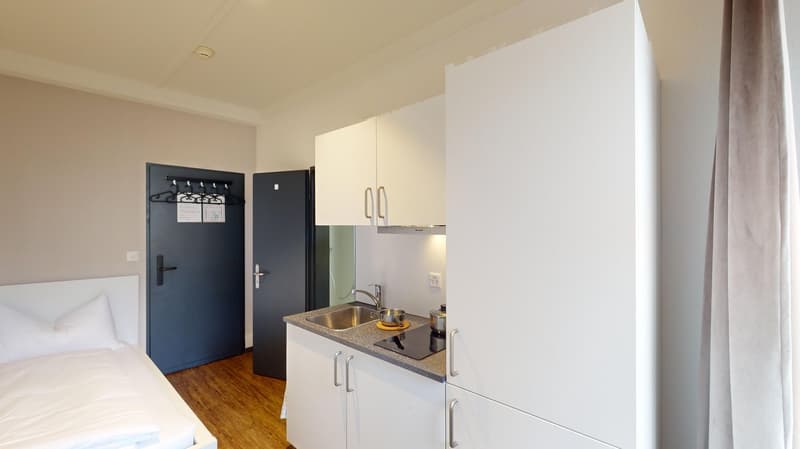 Modernes, möbliertes Appartement im Zentrum (1)