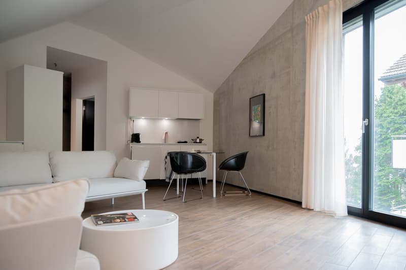 Topmodernes, möbliertes Appartement im Sternmattquartier (9)