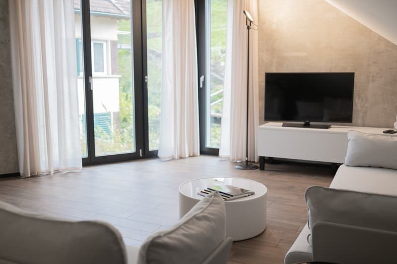 Topmodernes, möbliertes Appartement im Sternmattquartier (2)