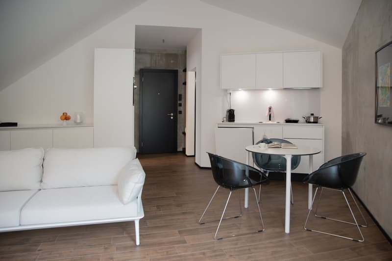 Topmodernes, möbliertes Appartement im Sternmattquartier (11)