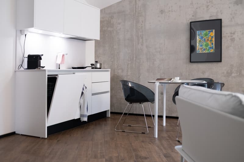 Topmodernes, möbliertes Appartement im Sternmattquartier (10)