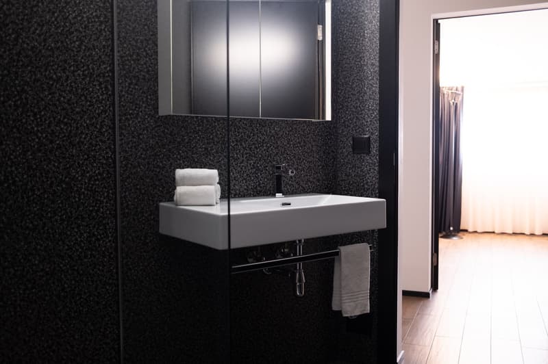 Topmodernes, möbliertes Appartement im Sternmattquartier (15)