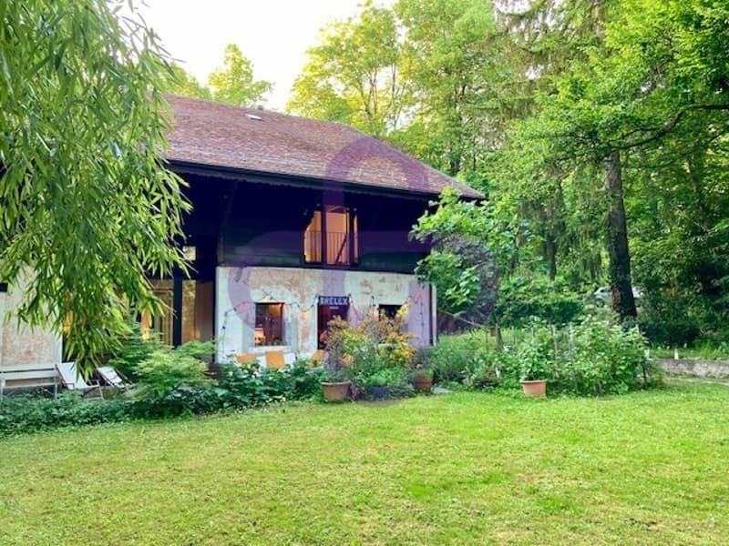 Beautiful 19th-century house with a lot of character in Champel (12)