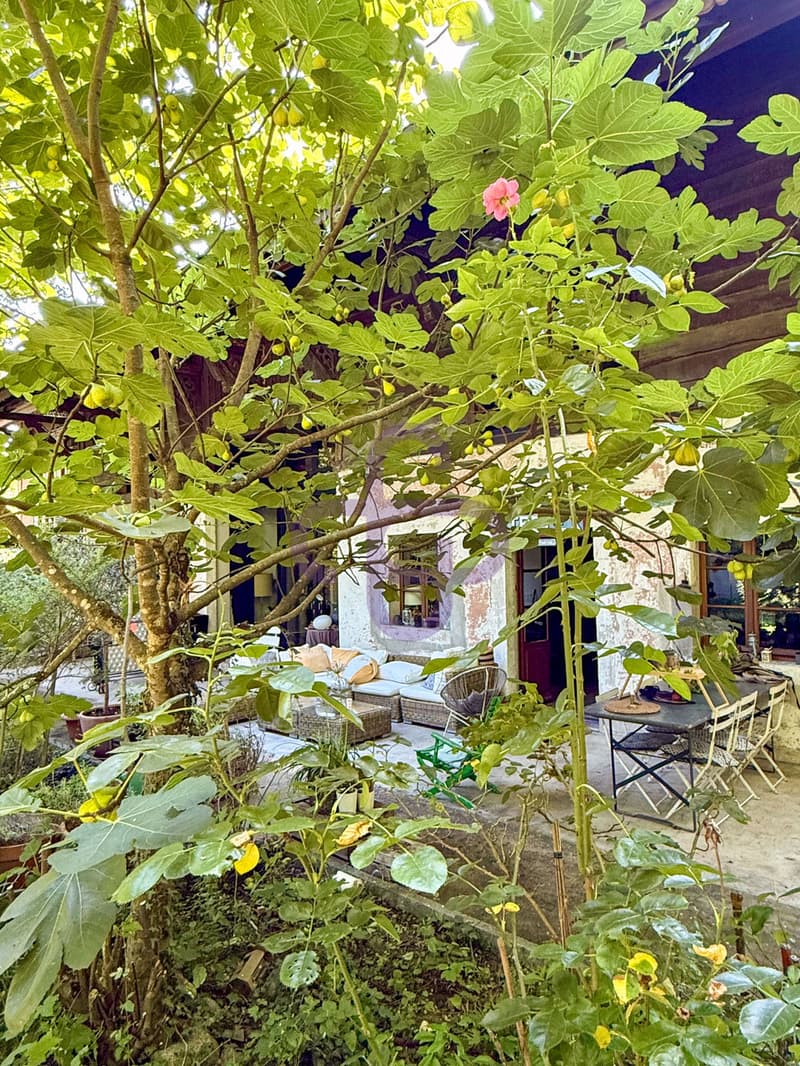 Beautiful 19th-century house with a lot of character in Champel (11)