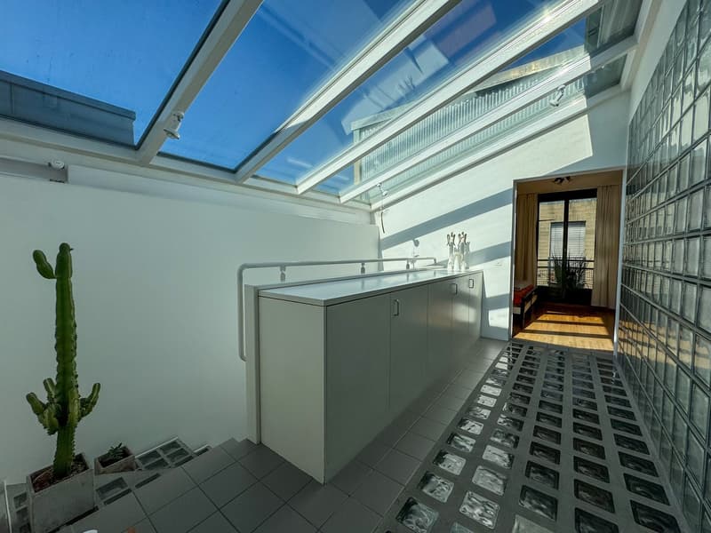 room with gray tiles, skylight, countertop, cactus plant, glass wall, interior door, window, indoor plant, hallway with wooden floor, small bed, outdoor terrace
