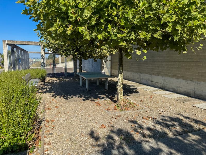 Outdoor area with gravel, benches, trees, ping pong table, brick wall, gate, sunny weather
