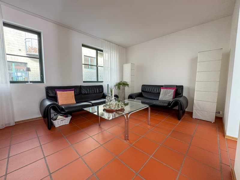 Orange tiled floor, white walls, two black leather sofas with pillows, glass coffee table, white curtains on windows, white storage unit, and a potted plant