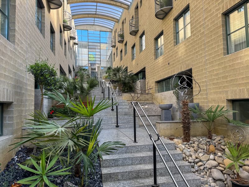 Outdoor patio with stone walls, granite steps, and landscaped with palm trees, shrubs, and decorative stones, along with metal railings and glass windows in the background