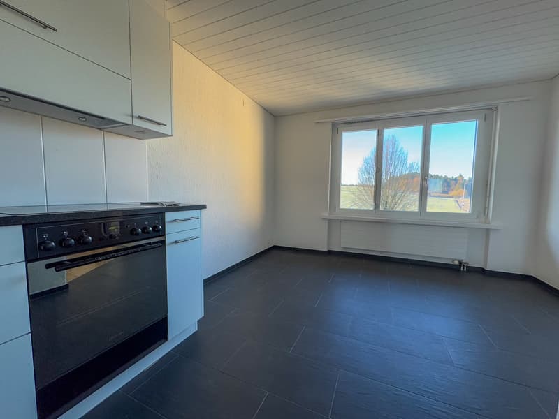 Appartement 4.5 pièces moderne à louer à Bäriswil (3)