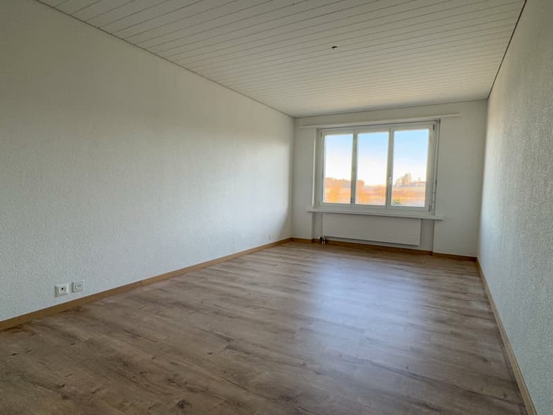 Appartement 4.5 pièces moderne à louer à Bäriswil (6)