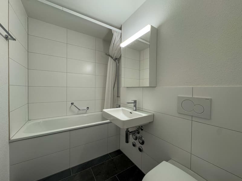 Appartement 4.5 pièces moderne à louer à Bäriswil (9)