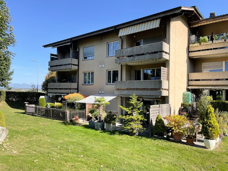 Gemütliche 2.5-Zimmer-Wohnung mit Balkon in Bäriswil (1)