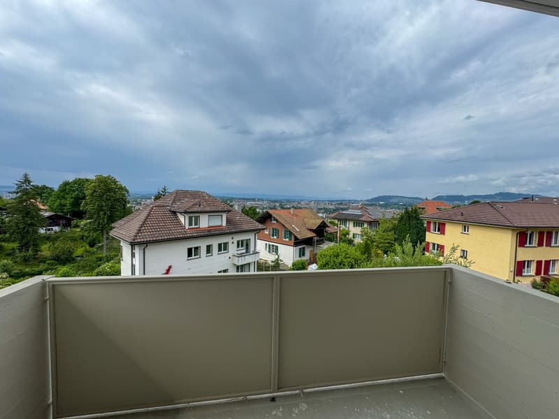 Erstvermietung an der Bellevuestrasse (10)