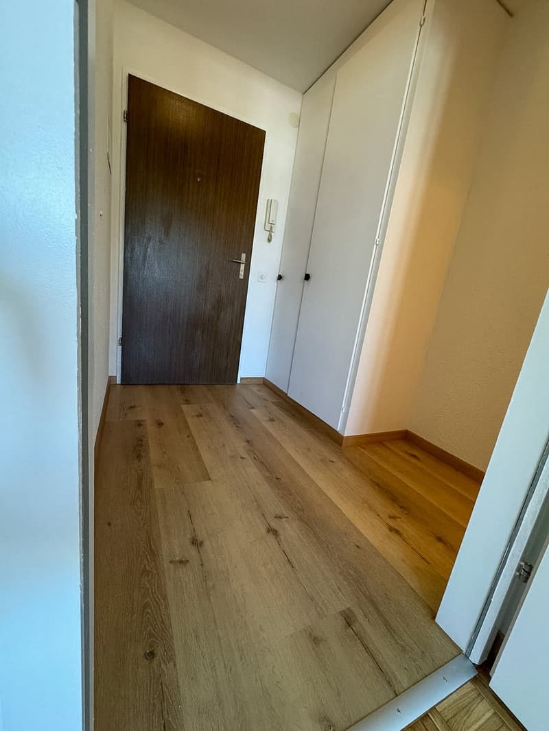 Appartamento accogliente 1.5 locali con balcone a Heimberg (5)