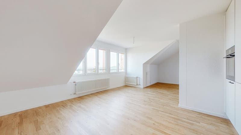 Totalsanierte Dachwohnung mit einzigartiger Aussicht über Bern (8)