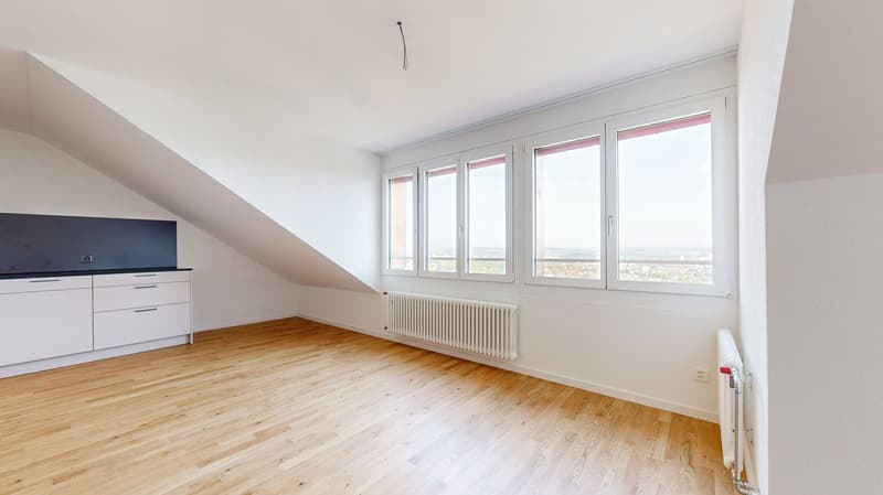 Totalsanierte Dachwohnung mit einzigartiger Aussicht über Bern (6)