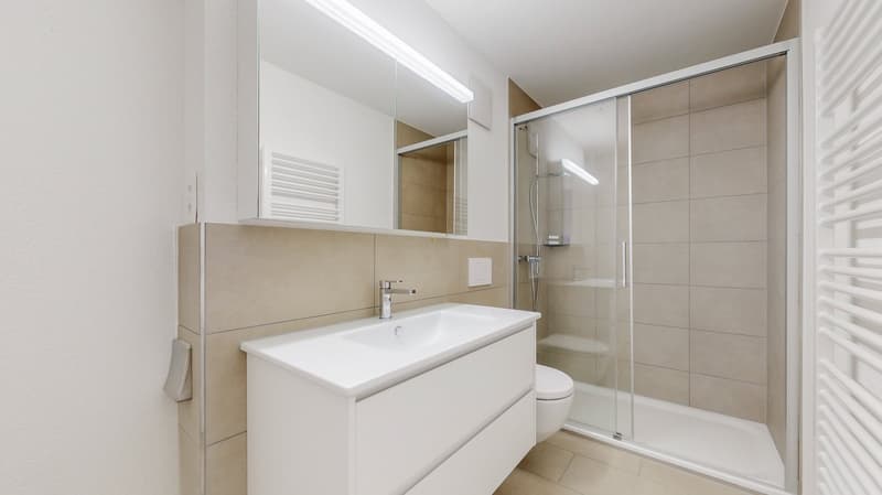 Totalsanierte Dachwohnung mit einzigartiger Aussicht über Bern (13)