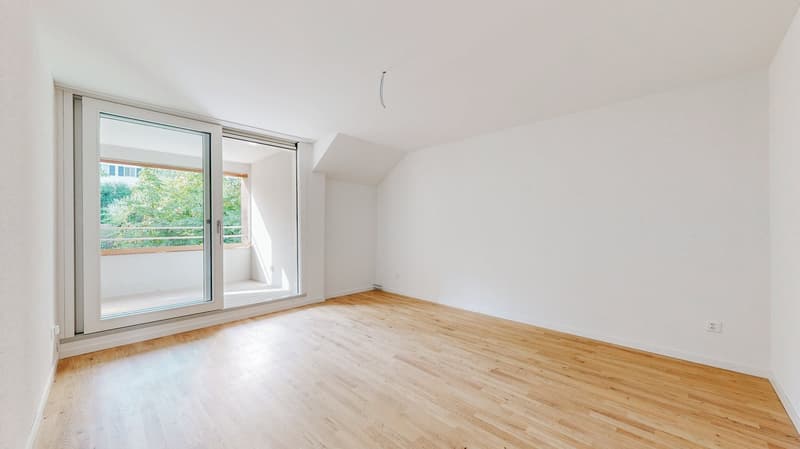 Totalsanierte Dachwohnung mit einzigartiger Aussicht über Bern (10)